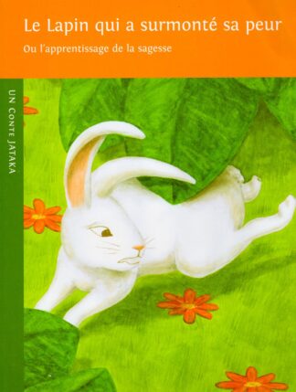 Le lapin qui a surmonté sa peur