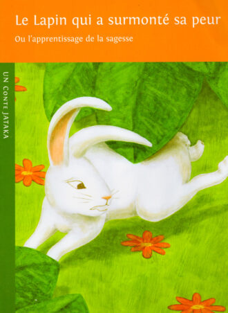 Le lapin qui a surmonté sa peur